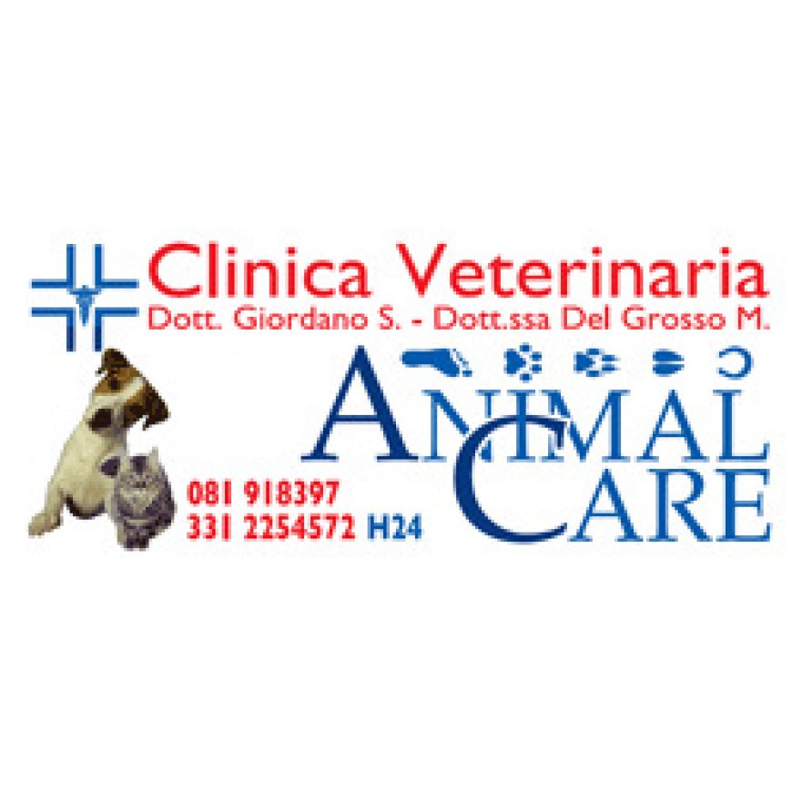 Nocera inferiore Animal Care Clinica Veterinaria 081 918397