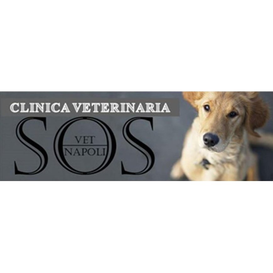 Napoli Clinica Veterinaria Sos Vet 081 7442382