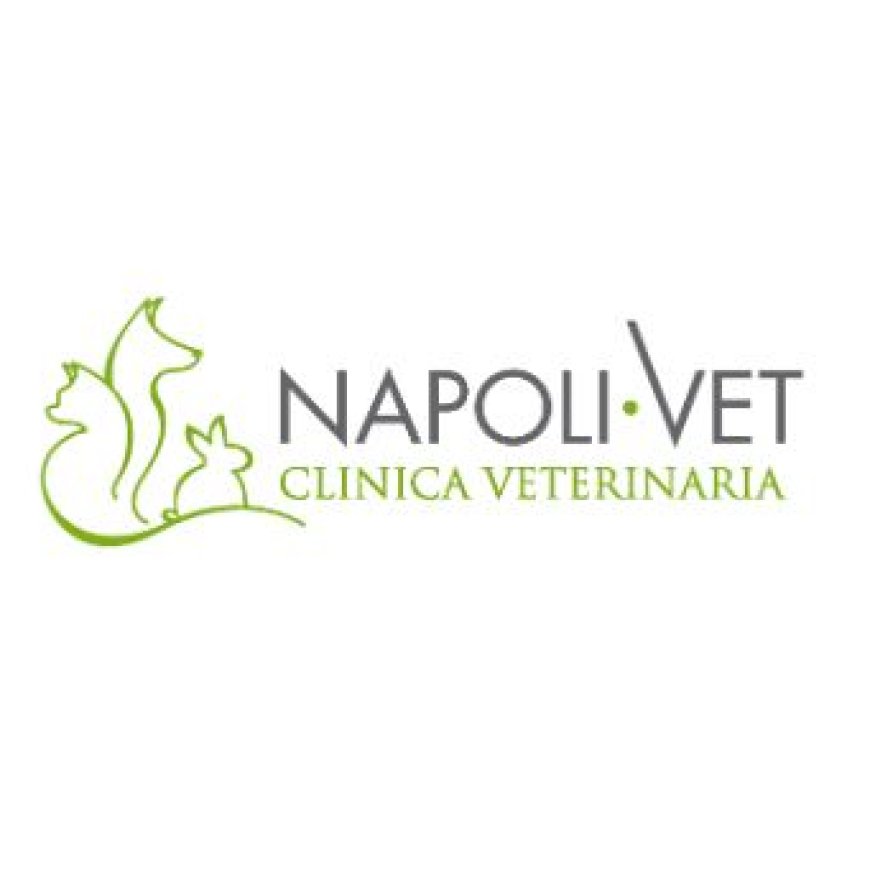 Napoli Clinica Veterinaria Napolivet 081 2303174