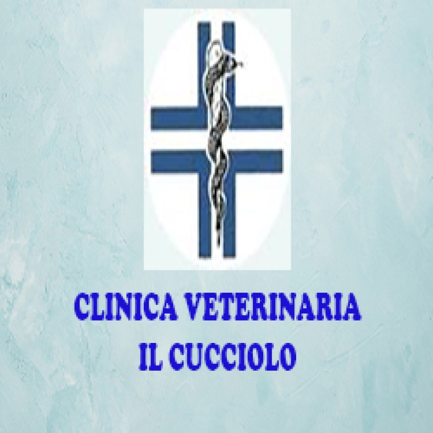 Napoli Clinica Veterinaria Il Cucciolo 081 5842092