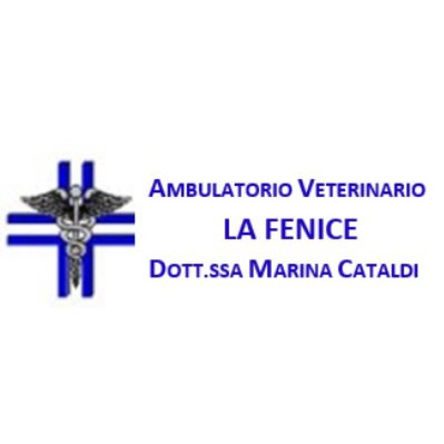 Napoli Ambulatorio Veterinario La Fenice Cataldi Dr.ssa Marina 081 5921994