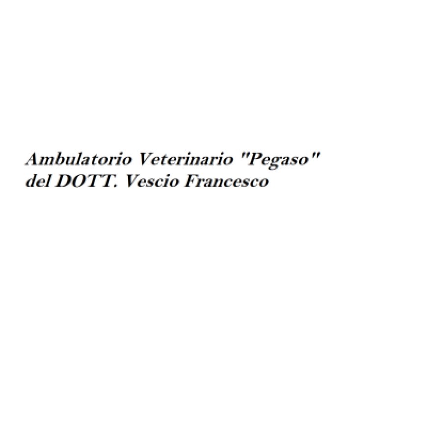 Napoli Ambulatorio Veterinario &quot;Pegaso&quot; del Dott. Vescio Francesco 081 5724827