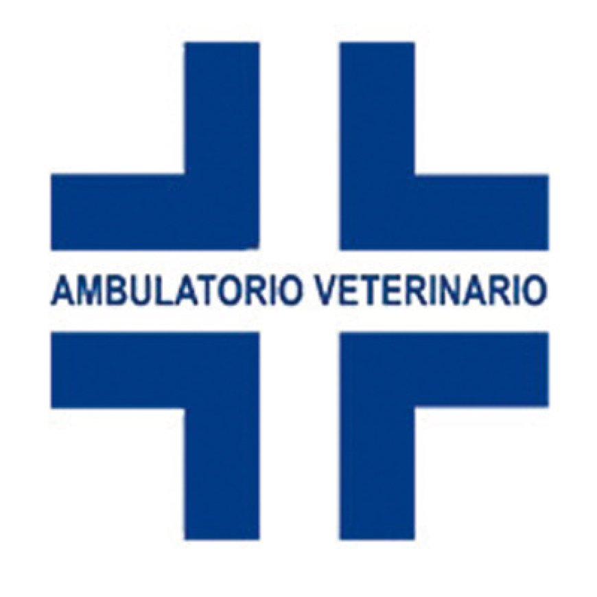 Minerbio Ambulatorio Veterinario Dott.Ri Benfenati - Vivani 051 876061