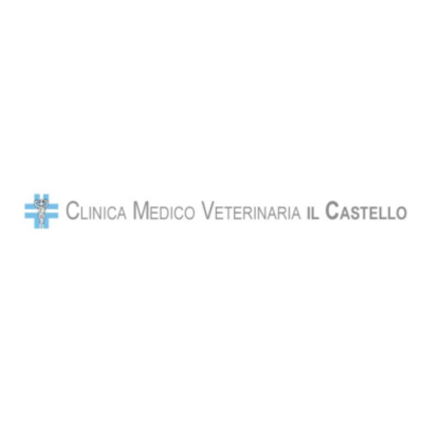 Medesano Associazione Veterinaria Il Castello 0525 420280