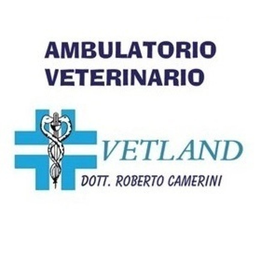 Matera Ambulatorio Veterinario Vetland 333 6989063