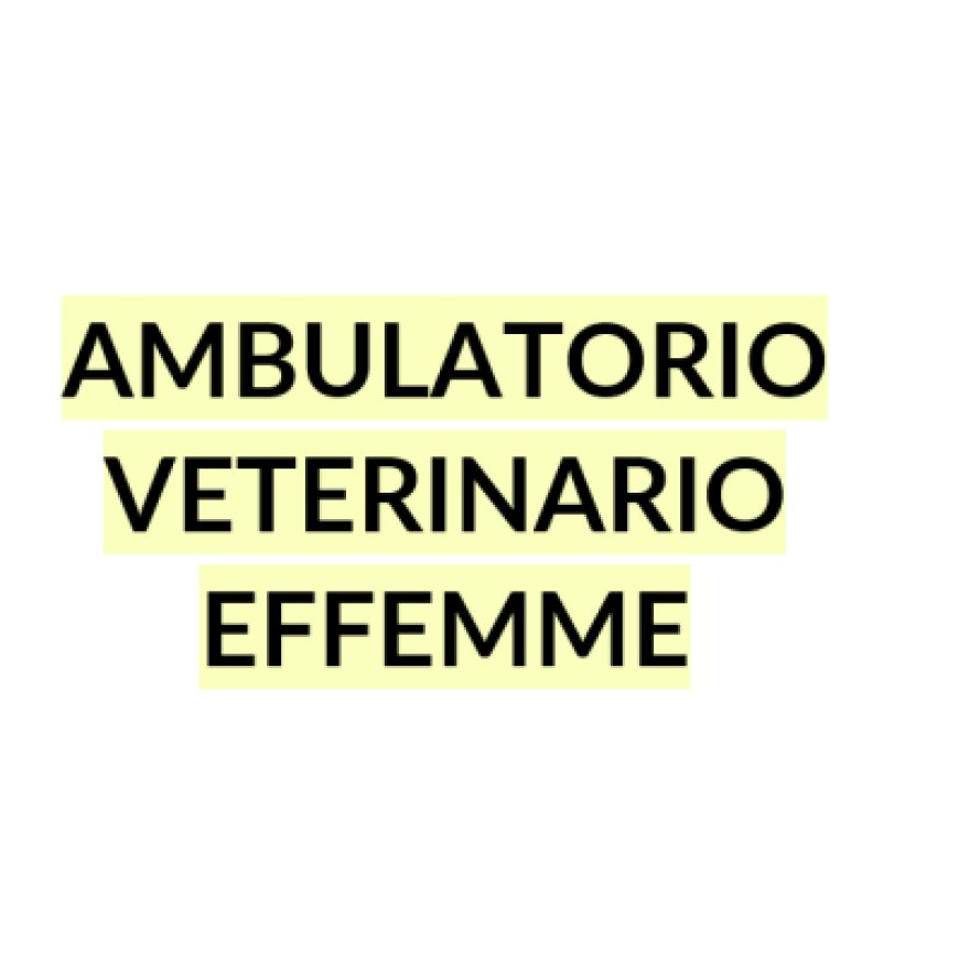Lamezia terme Ambulatorio Veterinario Effemme 329 9817904