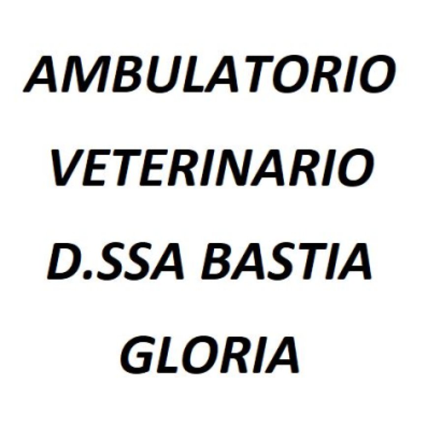 Ferrara Ambulatorio Veterinario Bastia 0532 770261