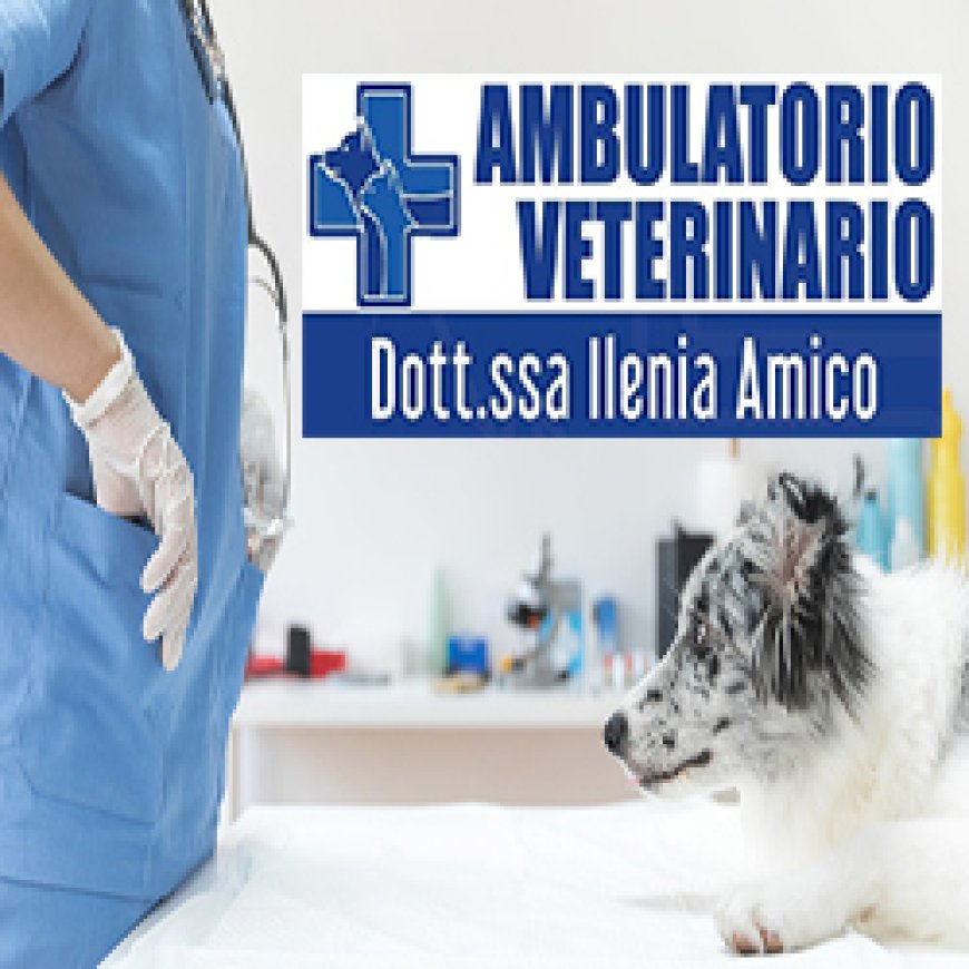 Cropani Ambulatorio veterinario Dott.ssa Ilenia Amico 320 5359360