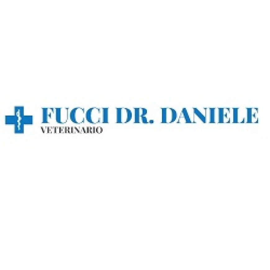 Conselice Ambulatorio Veterinario Fucci Daniele 339 2488558