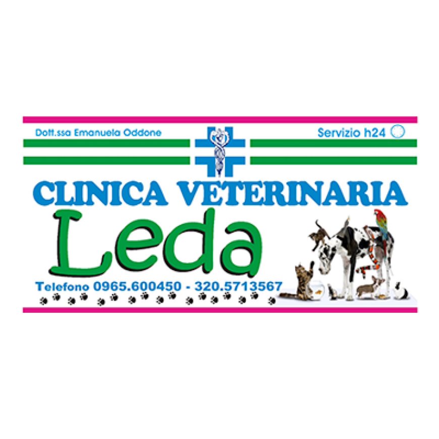 Catona Clinica Veterinaria LEDA 0965 600450