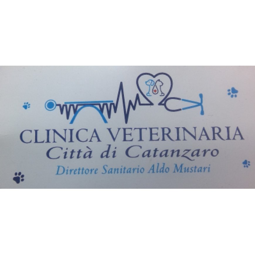 Catanzaro Clinica Veterinaria Città di Catanzaro 0961 61762