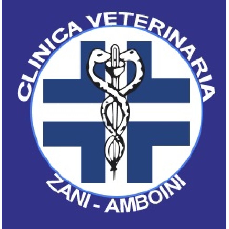 Castel san giovanni Clinica Veterinaria Dott. F. Zani - Dott. M. Amboini 0523 882181