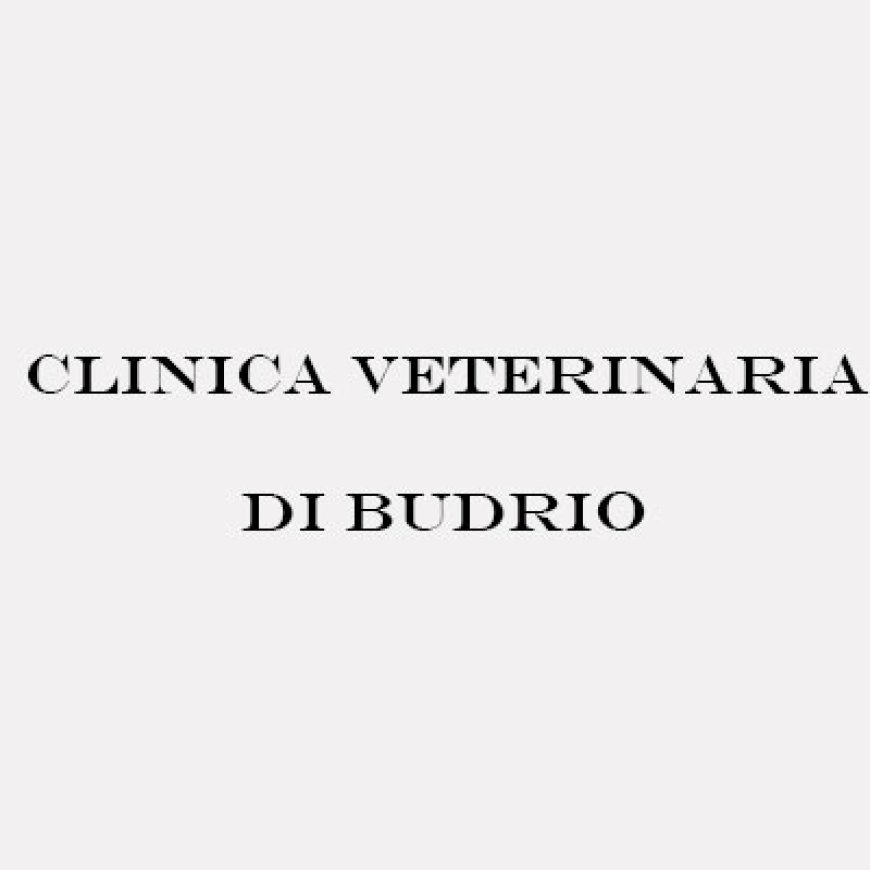 Budrio Clinica Veterinaria di Budrio 051 800936