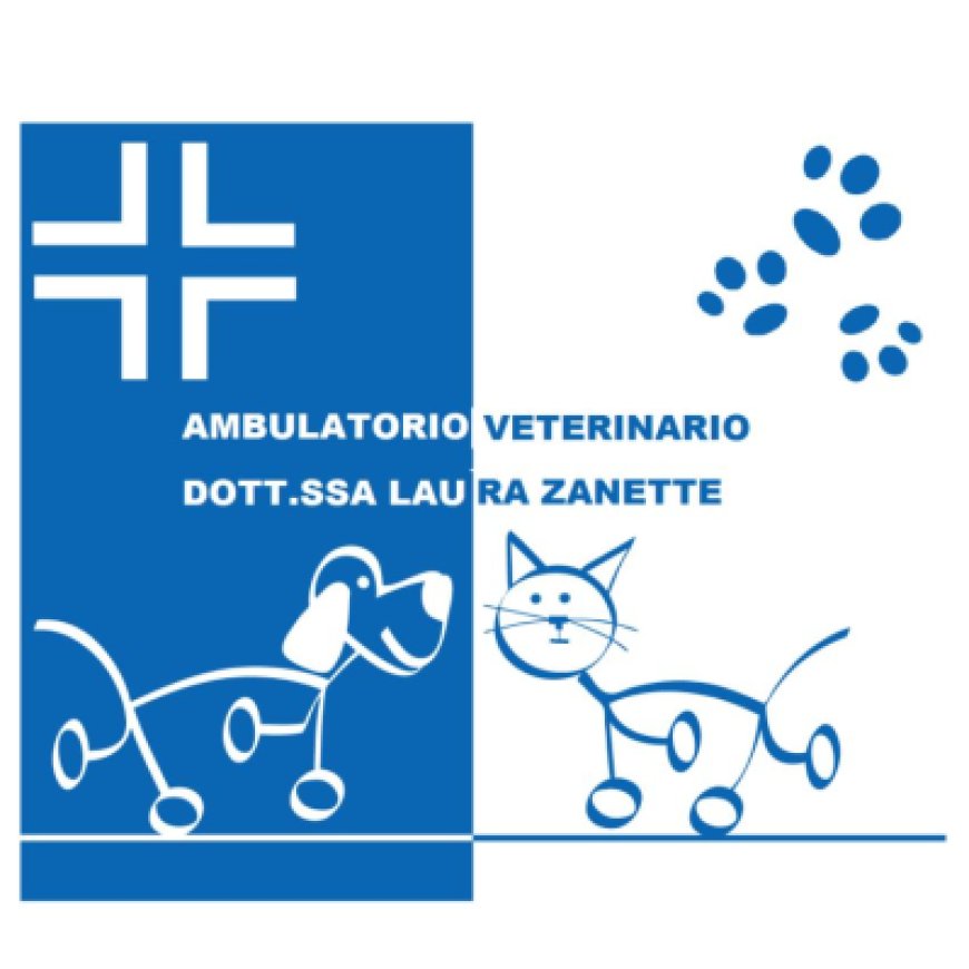 Brugnera Ambulatorio Veterinario Dott.ssa Laura Zanette 0434 613132