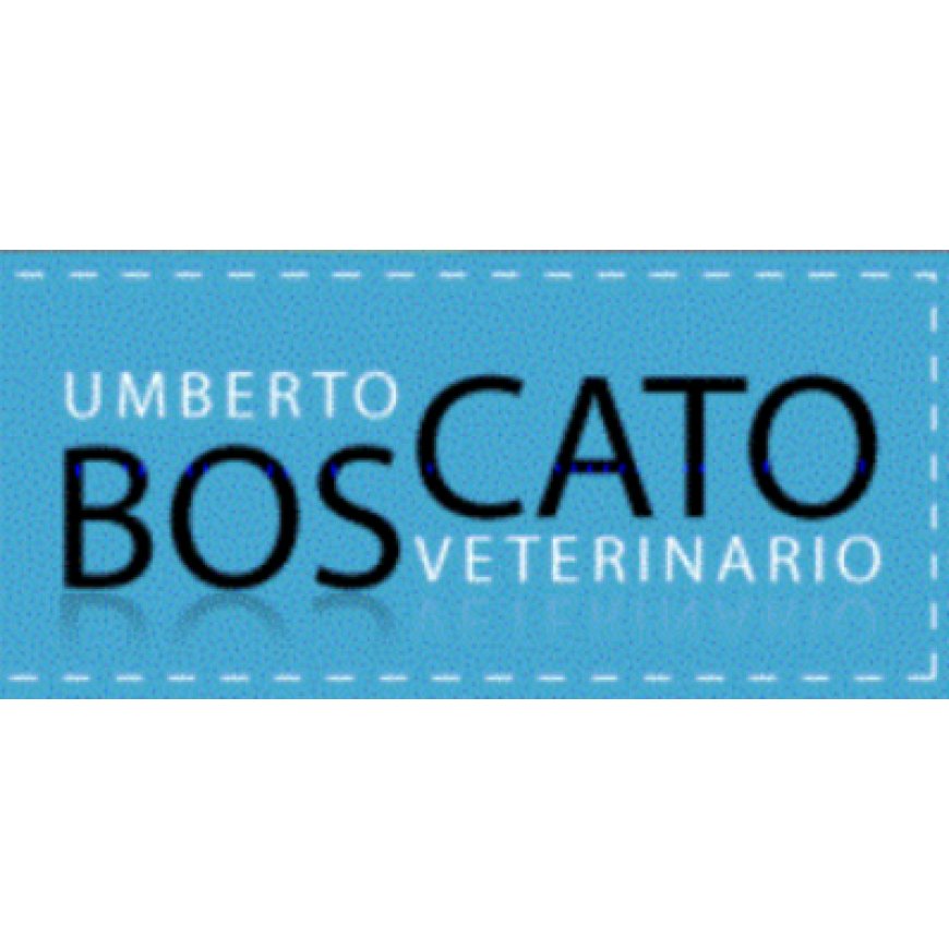 Brazzano Boscato Dr. Umberto Ambulatorio Veterinario per Cani e Gatti 0481 61752