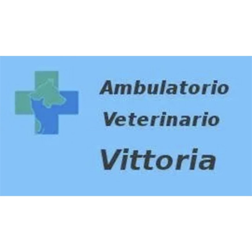 Bologna Ambulatorio Veterinario Vittoria 051 6182020
