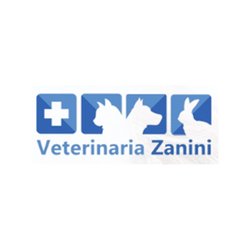 Bertiolo Ambulatorio Veterinario Zanini 0432 917611