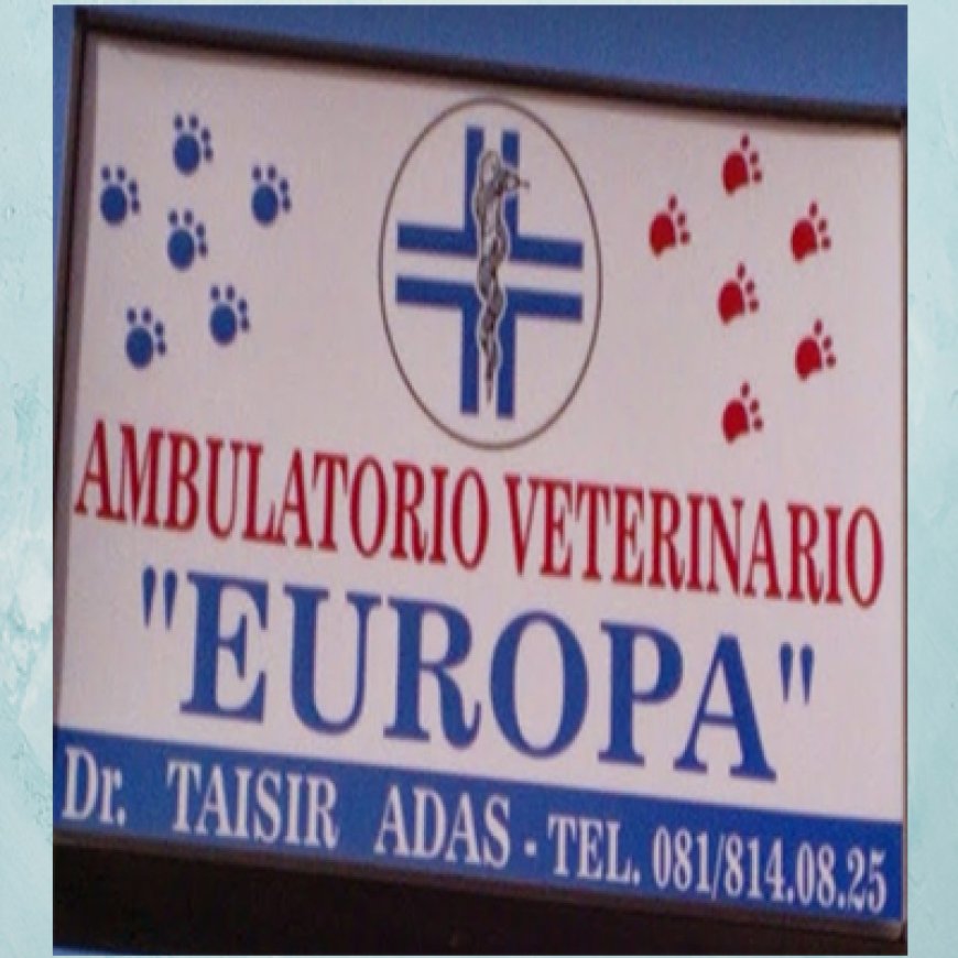 Aversa Ambulatorio Veterinario Europa 081 8140825