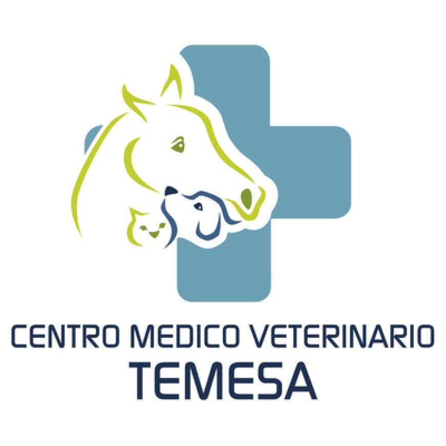 Amantea Centro Medico Veterinario Temesa Dott. Salvatore Benvenuto 348 2650593