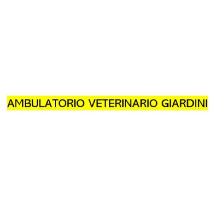 Alfonsine Ambulatorio Veterinario Giardini 0544 81579