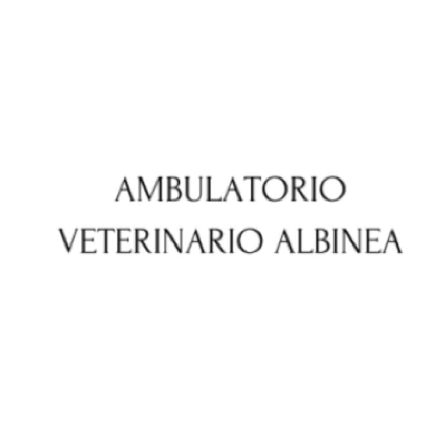 Albinea Ambulatorio Veterinario Albinea 0522 347192