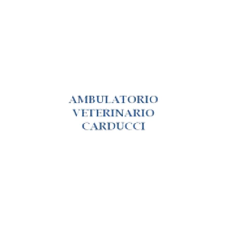 Voghera Ambulatorio Veterinario Carducci della Dott.ssa Miele Francesca 0383 1913049