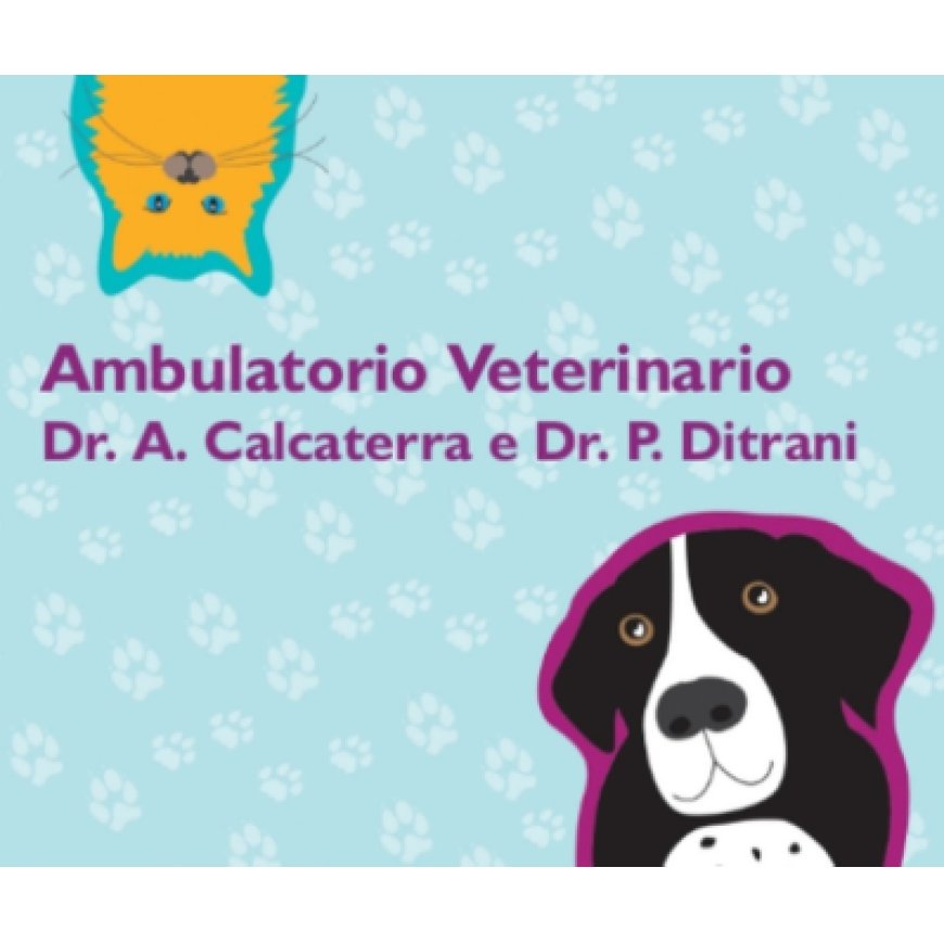 Vigevano Ambulatorio Veterinario dei Dottori Calcaterra e Ditrani 0381 348960