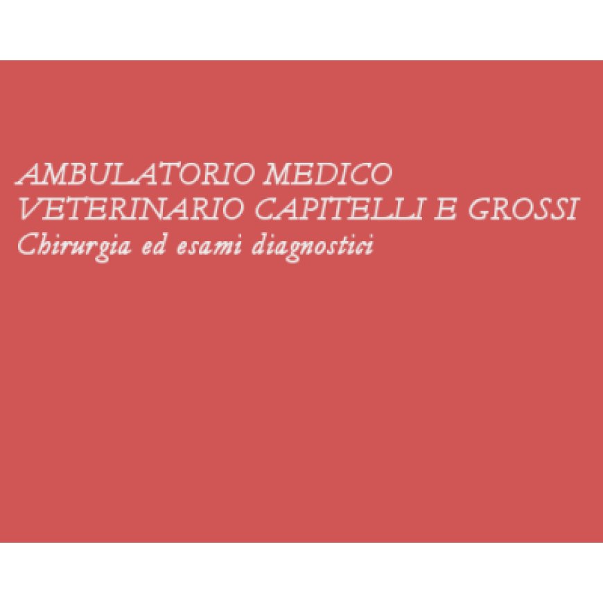 Vigevano Ambulatorio Medico Veterinario Capitelli &amp;amp; Grossi 0381 87205