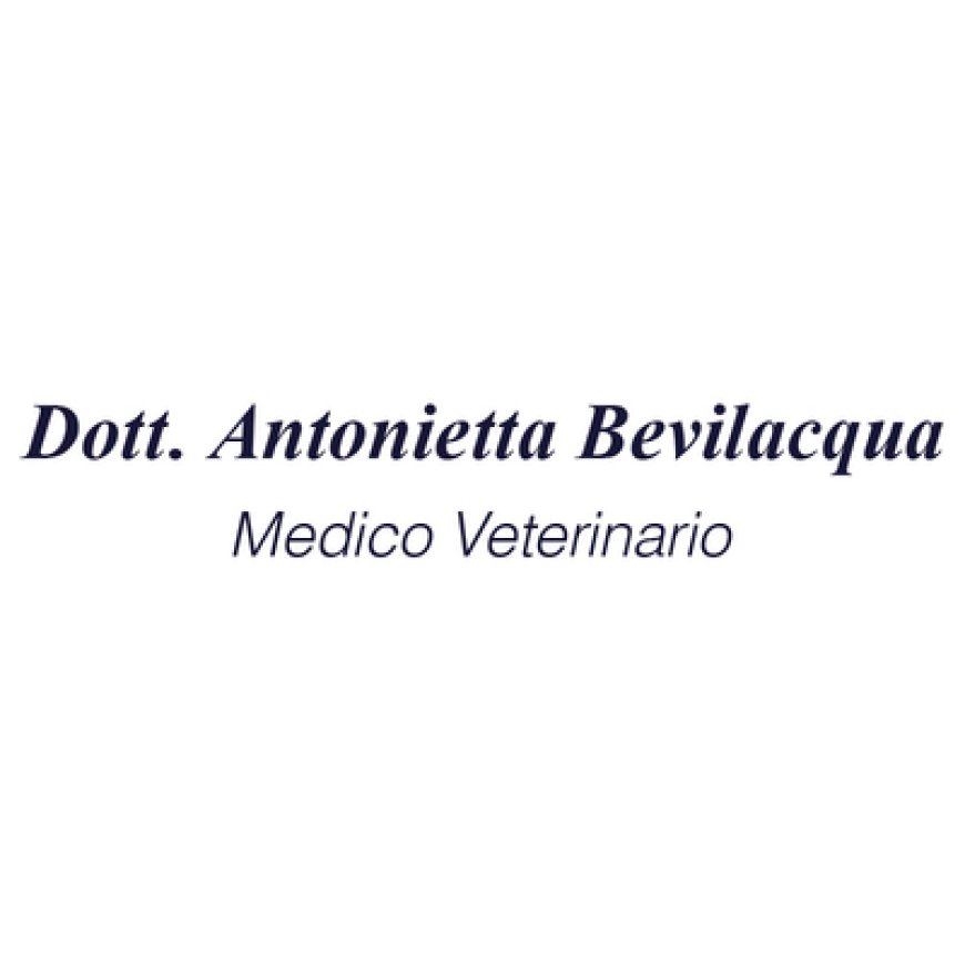 Vedano al lambro Veterinario Dott.ssa A. Bevilacqua 039 2326735