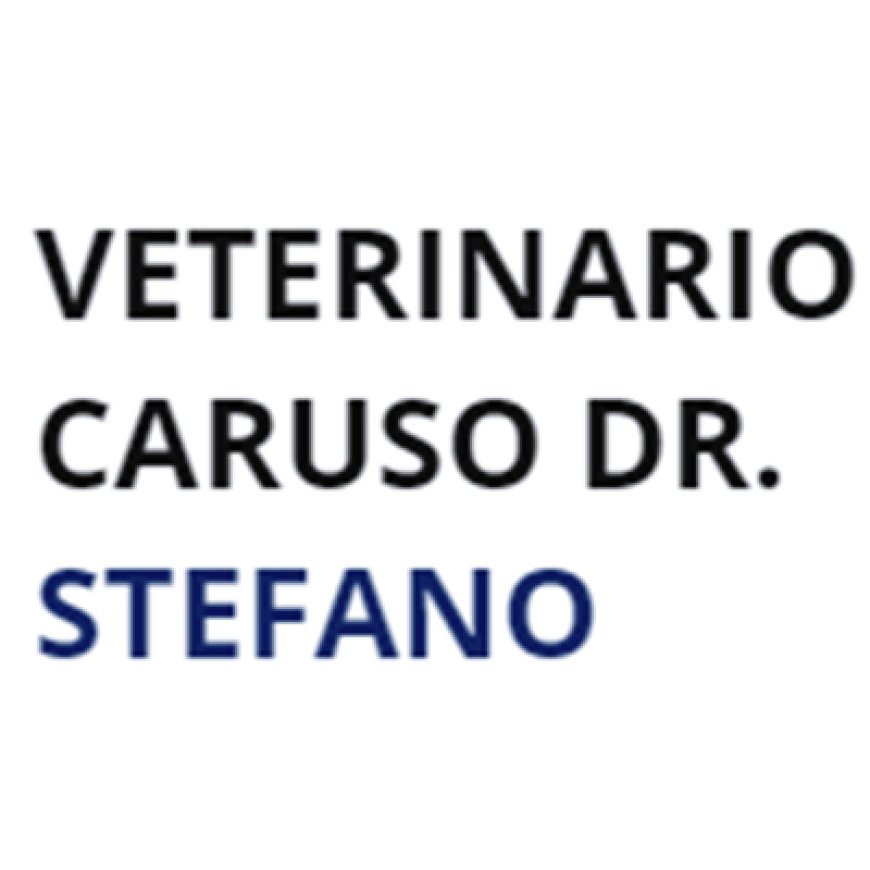 Varese Veterinario Caruso Dr. Stefano 335 6861616