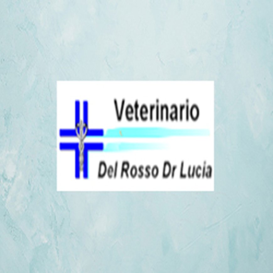 Val tenna campiglione Clinica Veterinaria Di Lucia Del Rosso 329 4080501