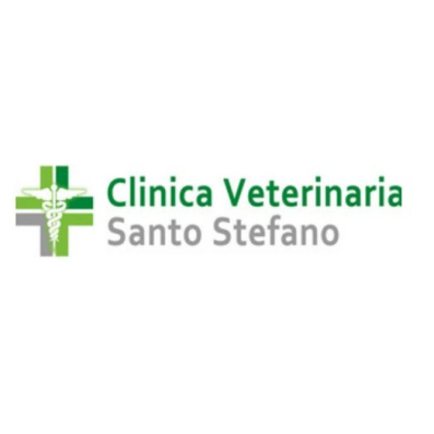 Spigno saturnia Clinica Veterinaria Santo Stefano 0771 64272