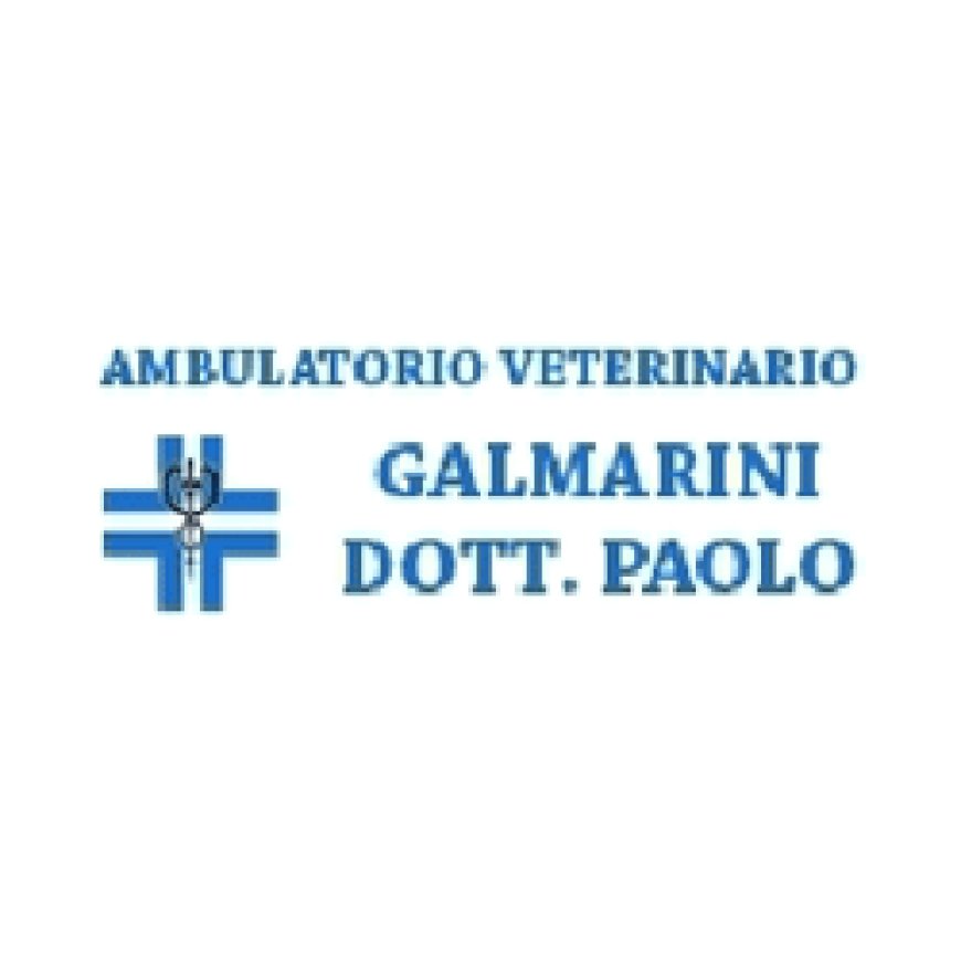 Somma lombardo Ambulatorio Veterinario Galmarini Dr. Paolo 0331 259047