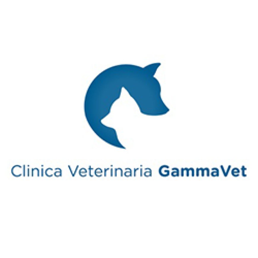 Seregno Clinica Veterinaria Gammavet 0362 1441462