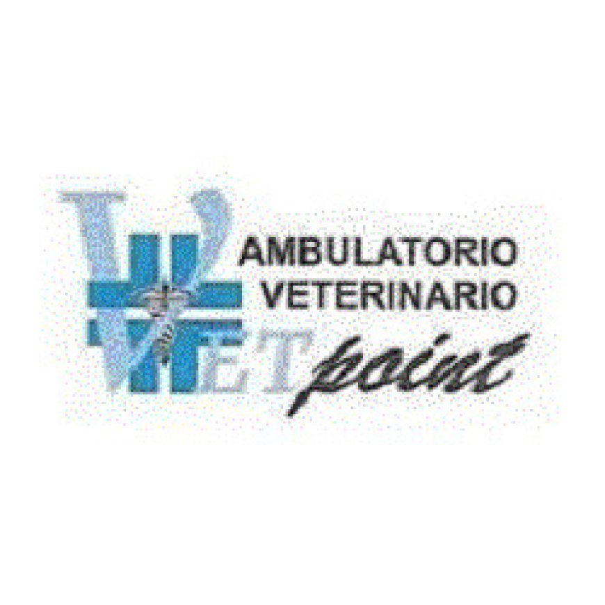 Senigallia Veterinario Vet Point 071 7930123