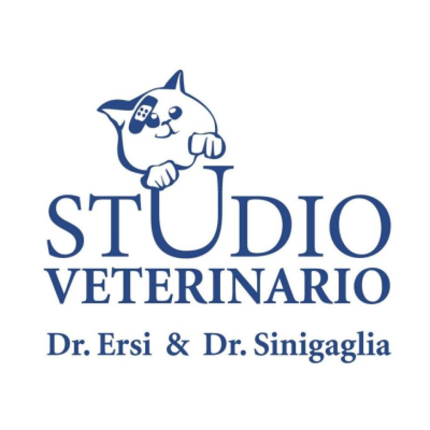 Segrate Studio Veterinario Ersi &amp;amp; Sinigaglia 02 2135436
