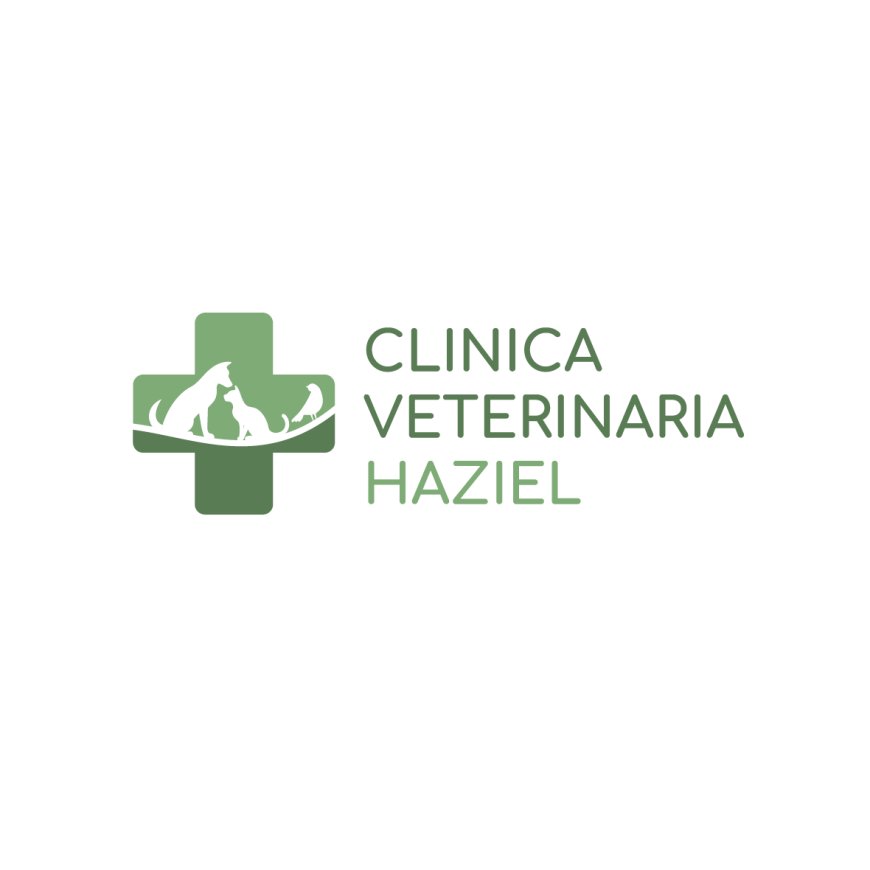 Santo stefano di magra Clinica Veterinaria Haziel 0187 981421