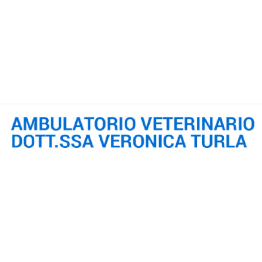 Sale marasino Ambulatorio Veterinario Dott.ssa Veronica Turla 030 986113