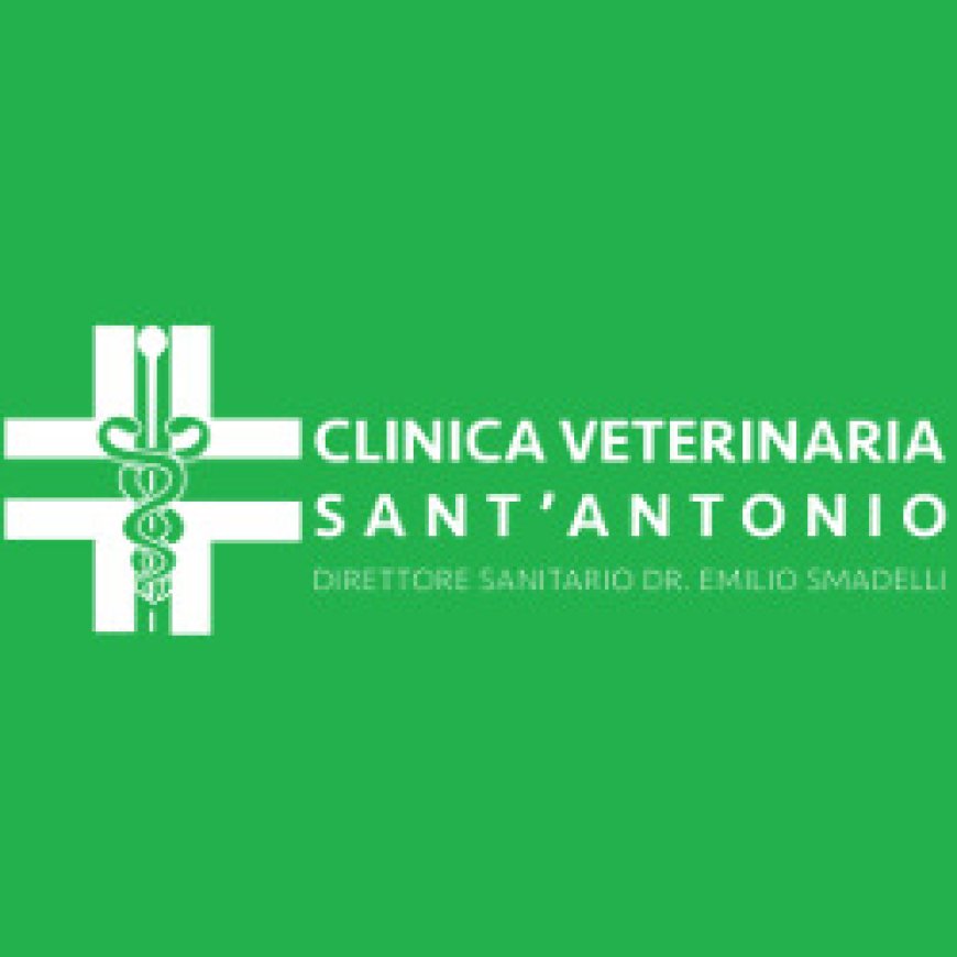 Salò Clinica Veterinaria S. Antonio 0365 21596