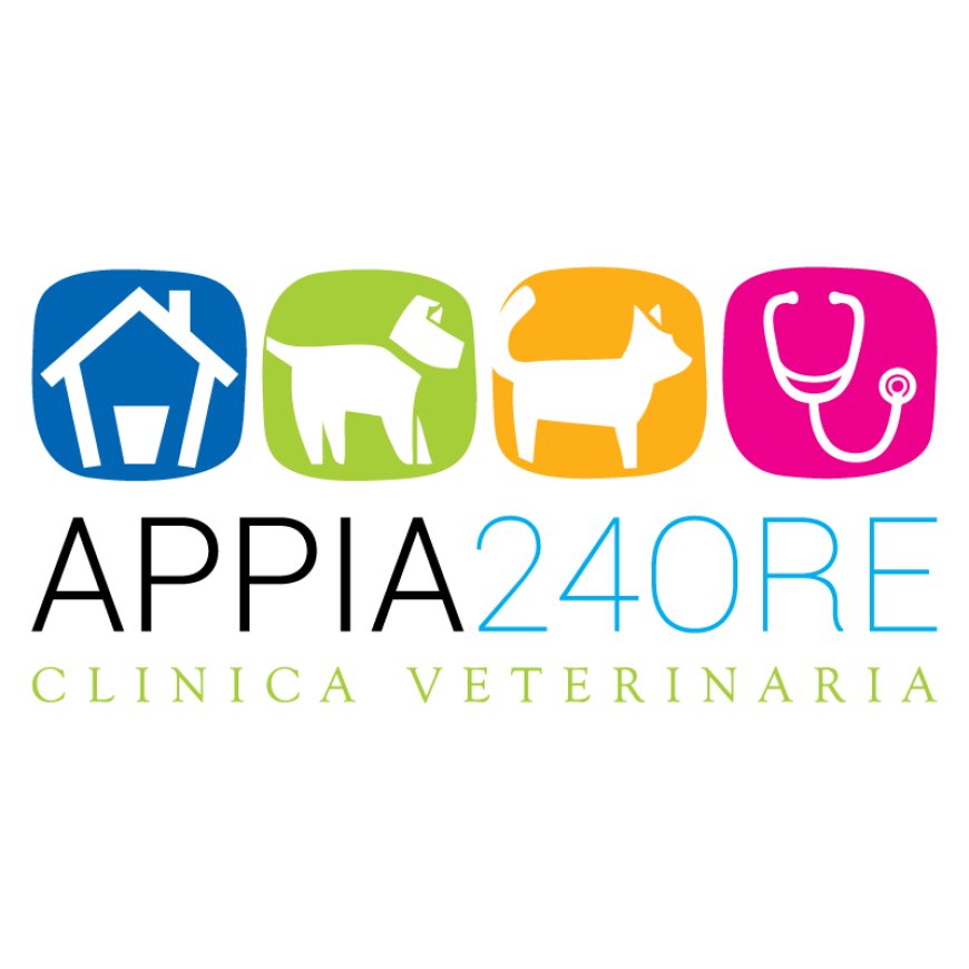 Roma Clinica Veterinaria Appia 24H 06 7182718