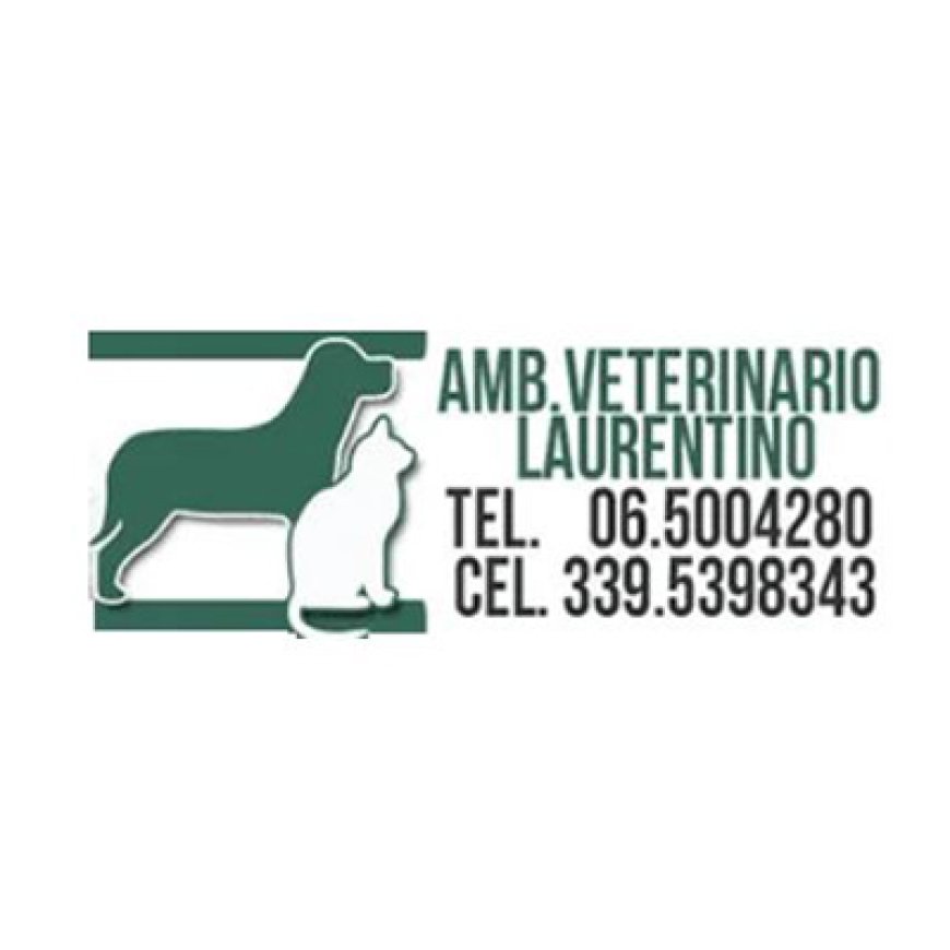 Roma Ambulatorio Veterinario Laurentino 06 5004280