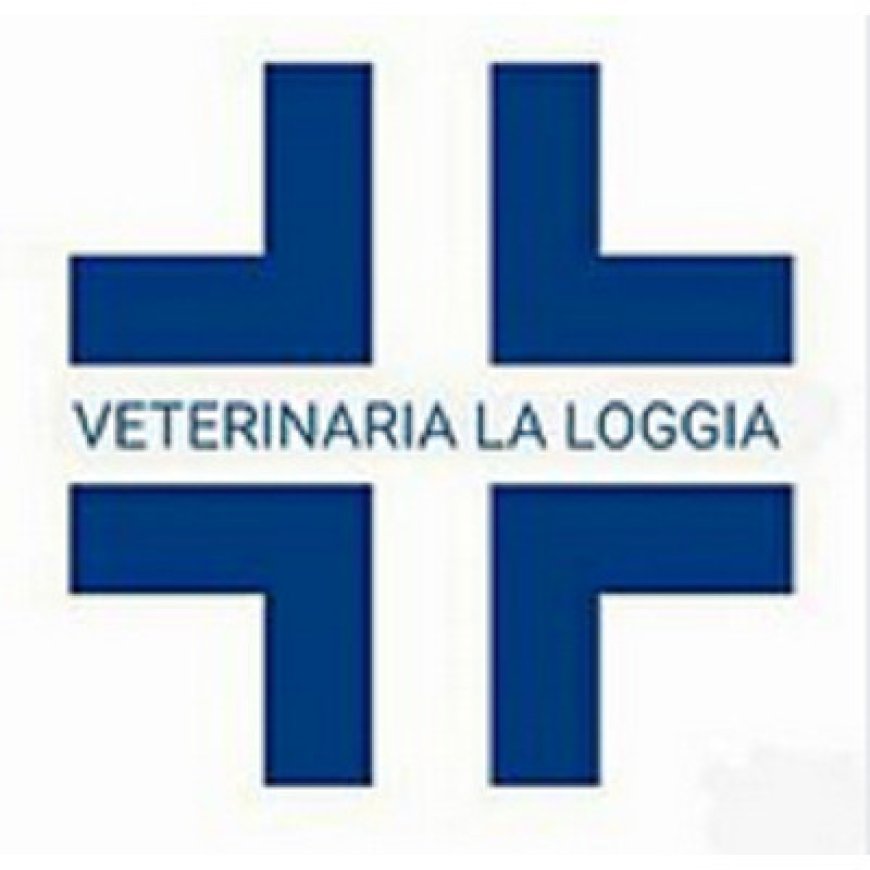 Roma Ambulatorio Associato Veterinaria La Loggia 06 55282717
