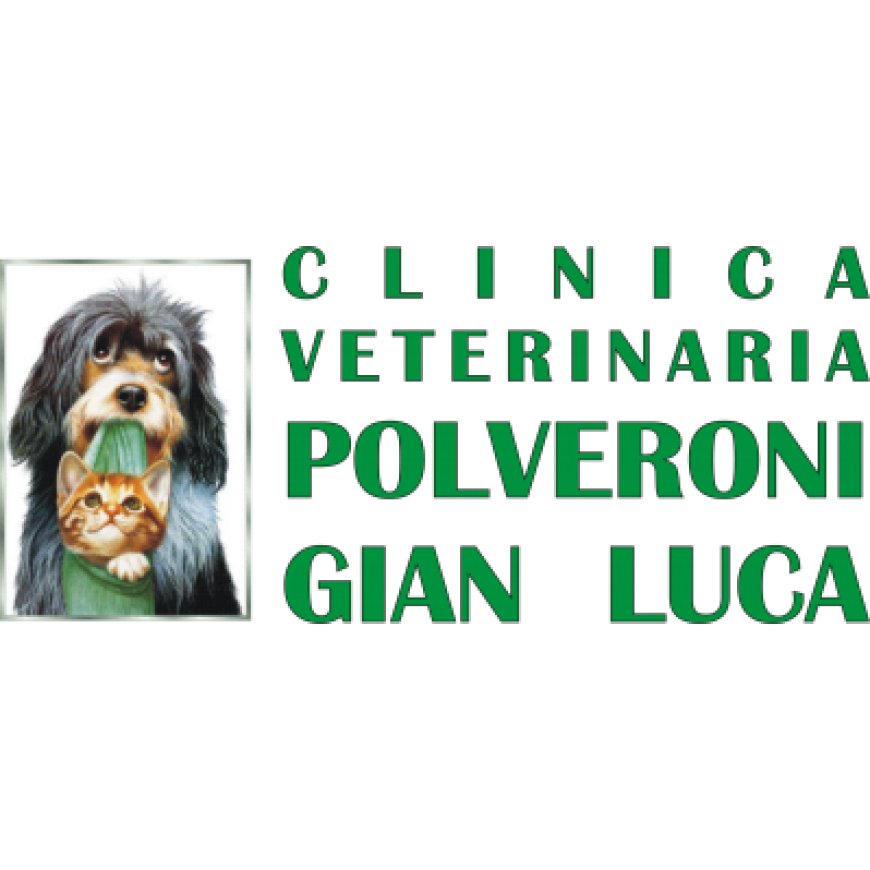 Rieti Polveroni Dr. Gianluca 0746 203841