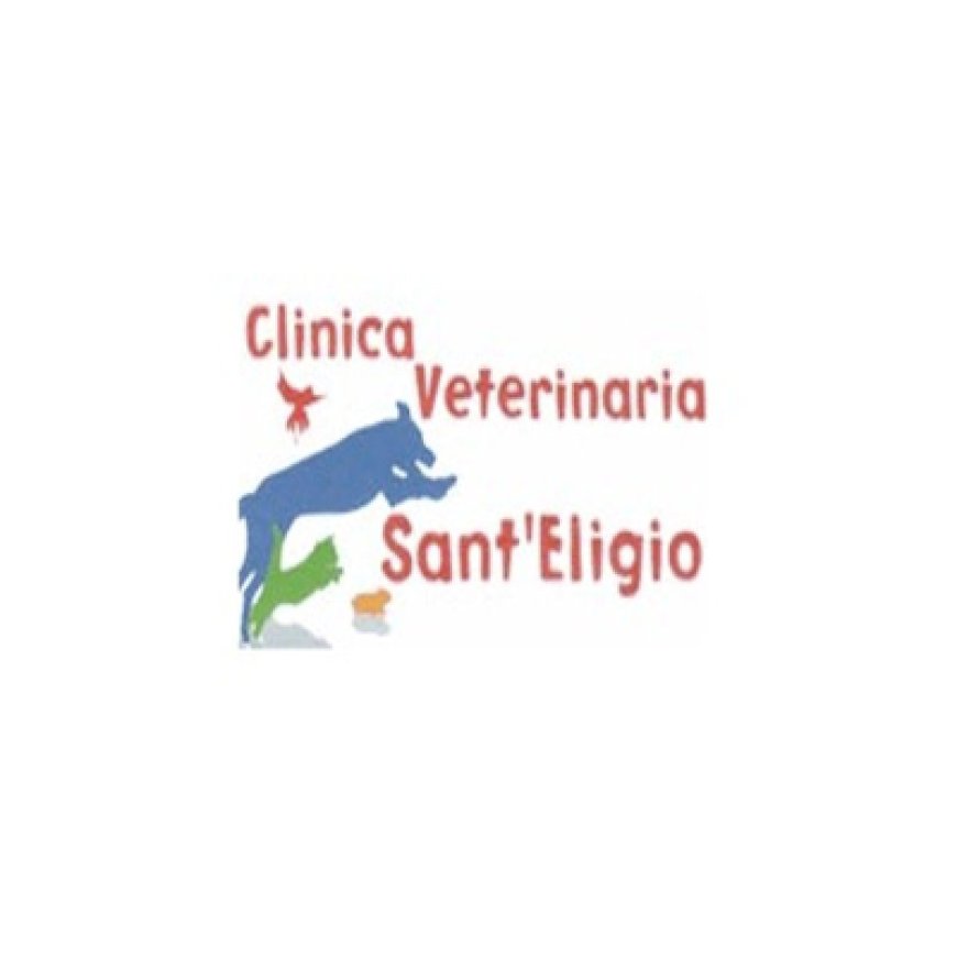 Recanati Clinica Veterinaria Sant&#039;&#039;Eligio 071 980017