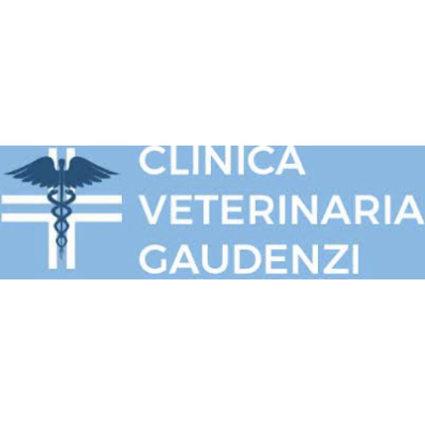 Pesaro Clinica Veterinaria Gaudenzi 0721 22342