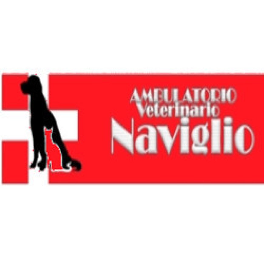 Pavia Ambulatorio Veterinario Naviglio 0382 474393