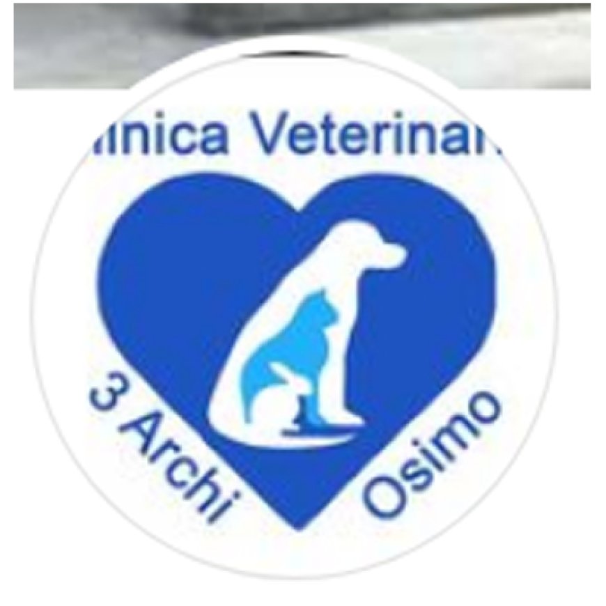 Osimo Clinica Veterinaria 3 Archi 071 7131867