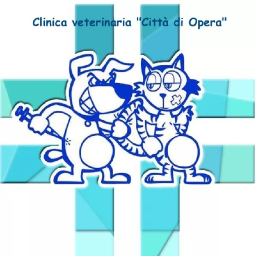 Opera Clinica veterinaria Città di Opera 02 67175689