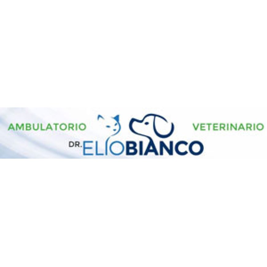 Olgiate comasco Ambulatorio Veterinario Dott. Bianco Elio 031 944377