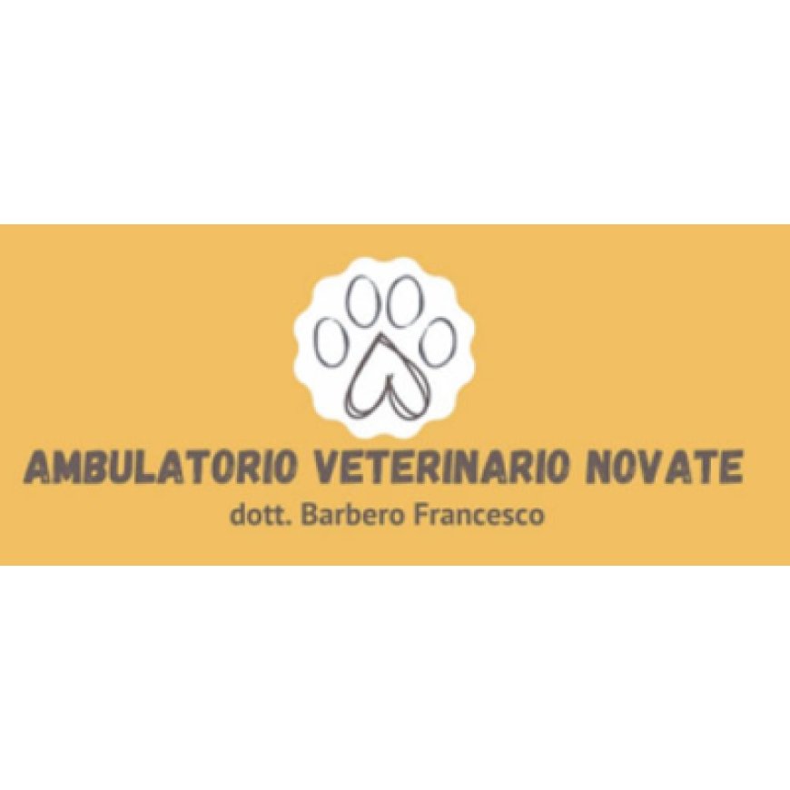 Novate milanese Ambulatorio Veterinario Novate 351 6049946